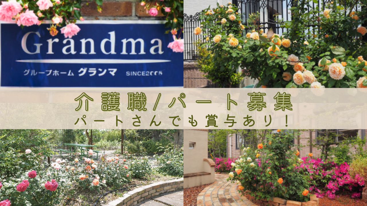 不問（丁寧に指導いたします）