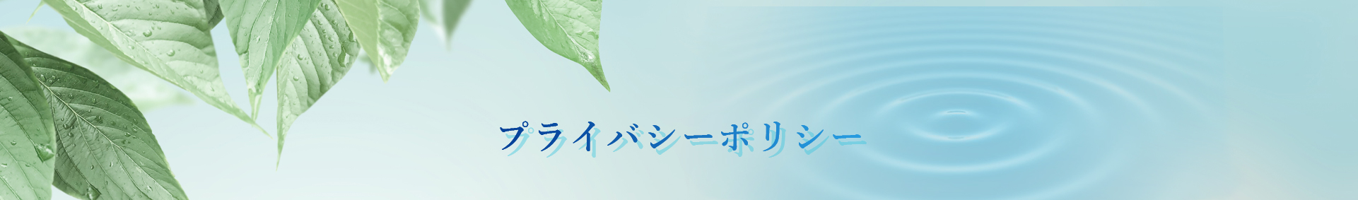 プライバシーポリシー